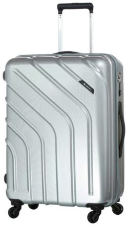 Carlton - Stellar Small 4 Wheel Trolley Case - Silver